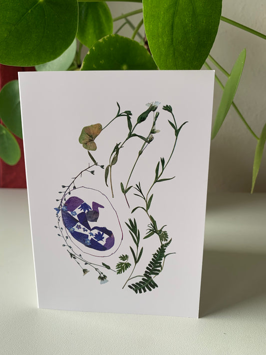 Happy Pregnancy / Baby Gender Reveal Card